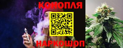 скорость Гатчина