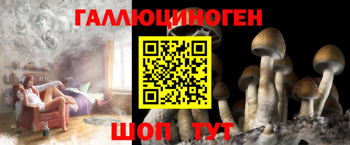Псилоцибиновые грибы прущие грибы Отрадное