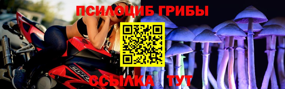 Отрадное  Псилоцибиновые грибы Psilocybe  Вход с VPN  Галлюциногенные грибы MAGIC MUSHROOMS 