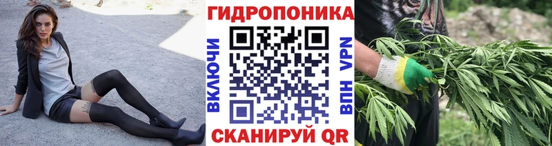 Марихуана план Отрадное